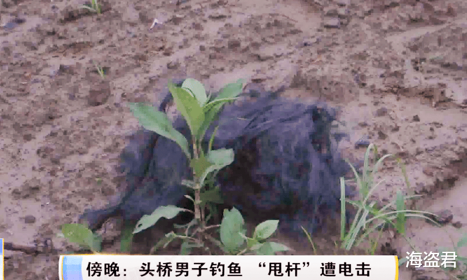 江苏省|江苏一男子“禁止钓鱼”旁钓鱼，把鱼线甩高压线上，人瞬间变漆黑