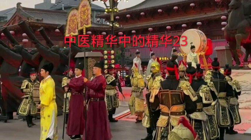 千年小树讲健康|中医精华中的精华23