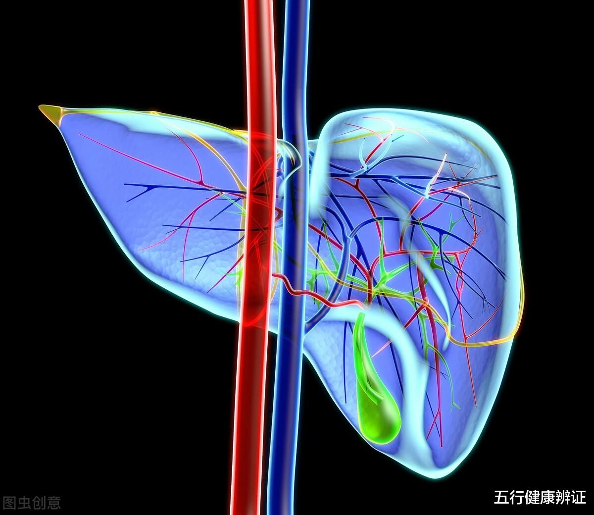 颈椎病|中气不升，耳鸣不宁！时常耳鸣，不要一味地想着肝肾相火偏亢