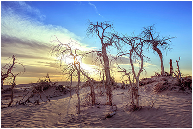 珑阳谈护肤 你还在找解决红血丝的秘诀吗？这几招教你解决红血丝
