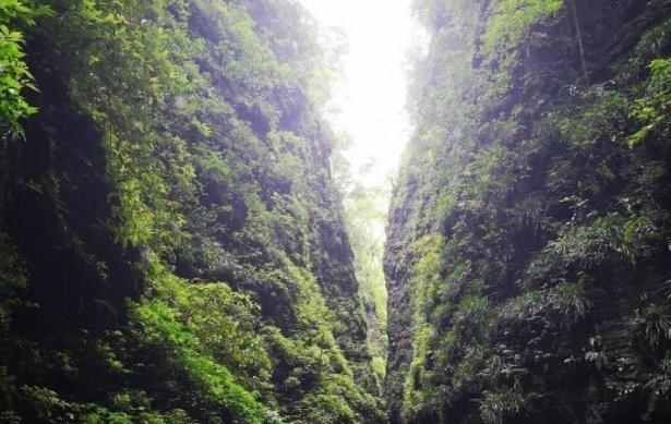 湘西 湘西一峡谷景区走红，隐匿于十万群山之中，窄处只容许一人通过