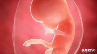 我是懒妈妈|新生儿哭闹,妈妈一上手就不哭,宝宝是凭什么认出妈妈的?