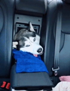 广东省|“地铁上看见心仪的女生，但她的职业很特殊！”你敢上去搭讪吗？