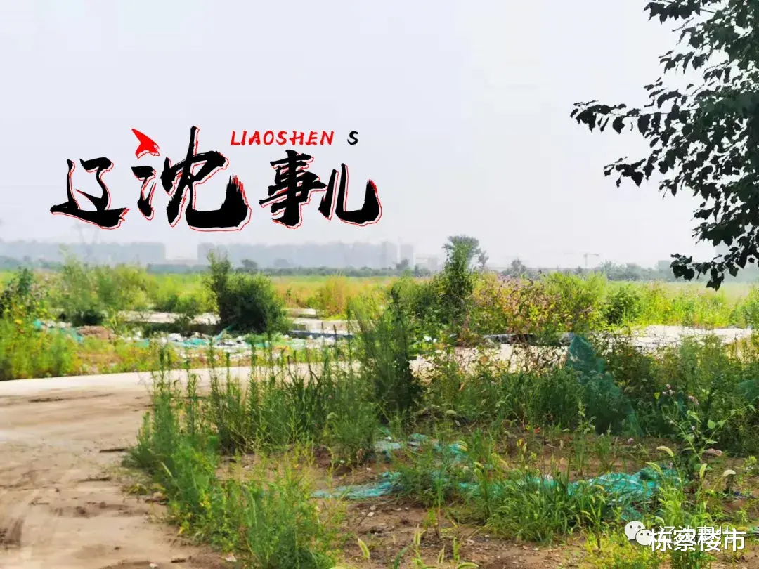 上海市|沈阳多宗居住用地“退地” 下一个刚需刚改板块亮相!