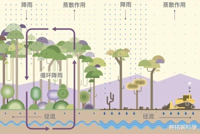 抗体|人类禁区亚马逊雨林有多恐怖？人类的贪婪，使雨林沦为碳排放之源