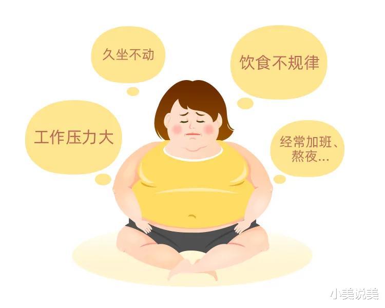 小美说美 程序员颜值很高是一种什么体验？