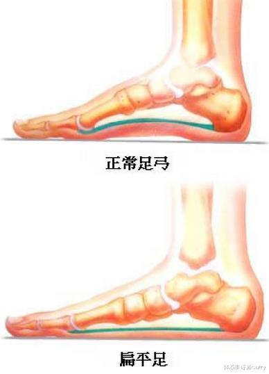 体态训练师curry|工作生活常见的小腿肌肉紧张问题！如何正确的拉伸训练解决问题？