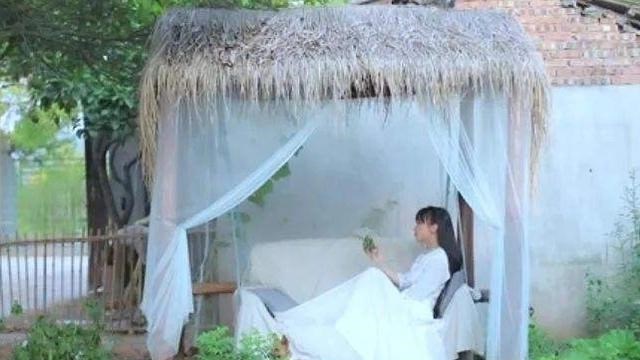 动漫画萌君 探访李子柒的亿万豪宅，集山水田园为一体，老外看了都竖起大拇指