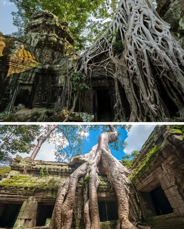  9张大自然VS人类的震撼图片，在大自然面前，人类力量如此渺小！