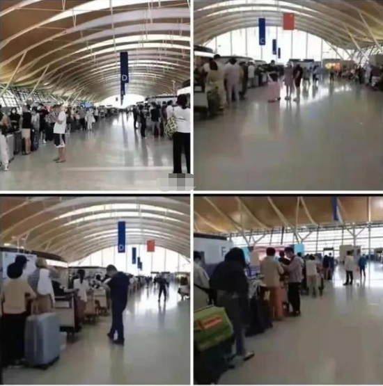 大树说教育|赴美机场排千米长队，留学生为何“飞蛾扑火”，网友评论说出真相