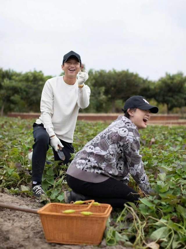 玻璃水瓶 邓超孙俪带孩子参加接地气的挖红薯活动