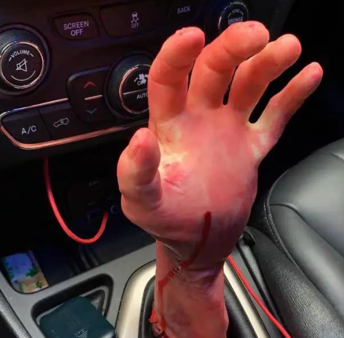 |“我爸说这是龙肉，我不信”哈哈哈哈真香