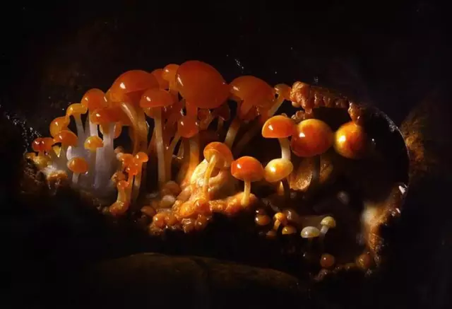 文玩|因为你们，让文玩圈更加绚丽多彩