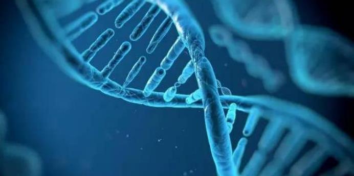 美科学家提出设想:“地球监狱论”,人类可能是被放逐的生物