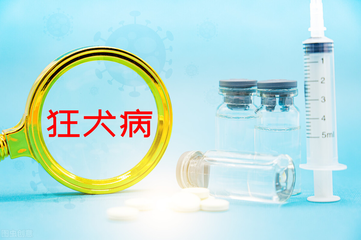  世界狂犬病日：狂犬病的病死率几乎是100%，被动物咬了怎么办？