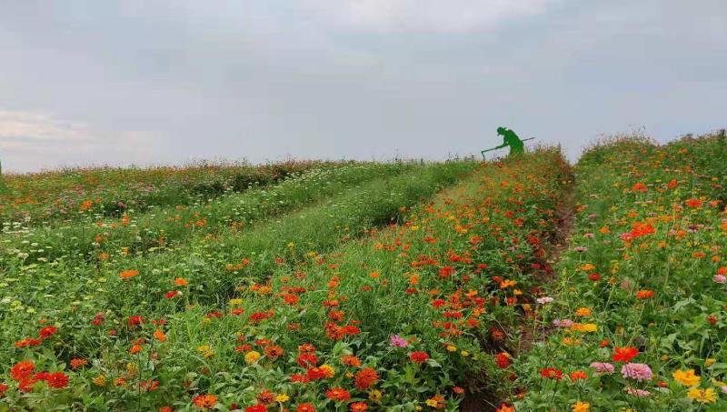 |领导让我多管事，却不授权，我该怎么办？试探授权能搞定