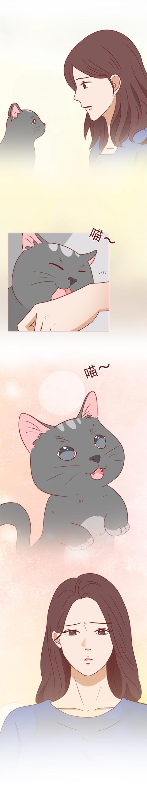 女孩|一只捡来的猫，给了抑郁症女孩第2次生命，有时兽性比人性强