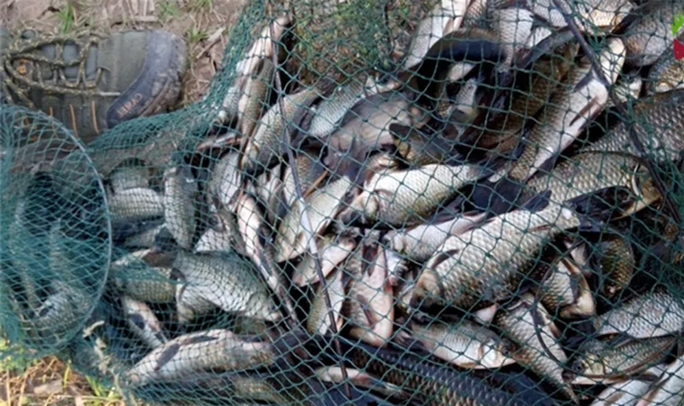 信用卡|冬季钓鱼，想要有好的鱼获，做到这两点就足够了