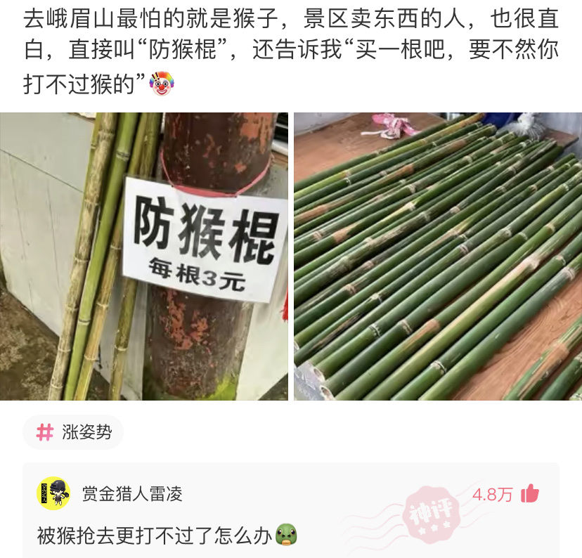 钢铁森林|《无上宠爱》《钢铁森林》《偏执反派是妹控》《我渣的病娇登基了》