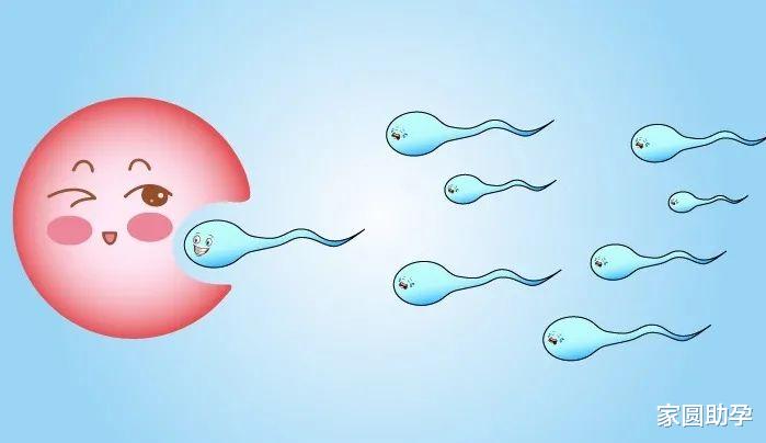 家圆助孕|试管婴儿之“取卵3疑问”，快来找答案！