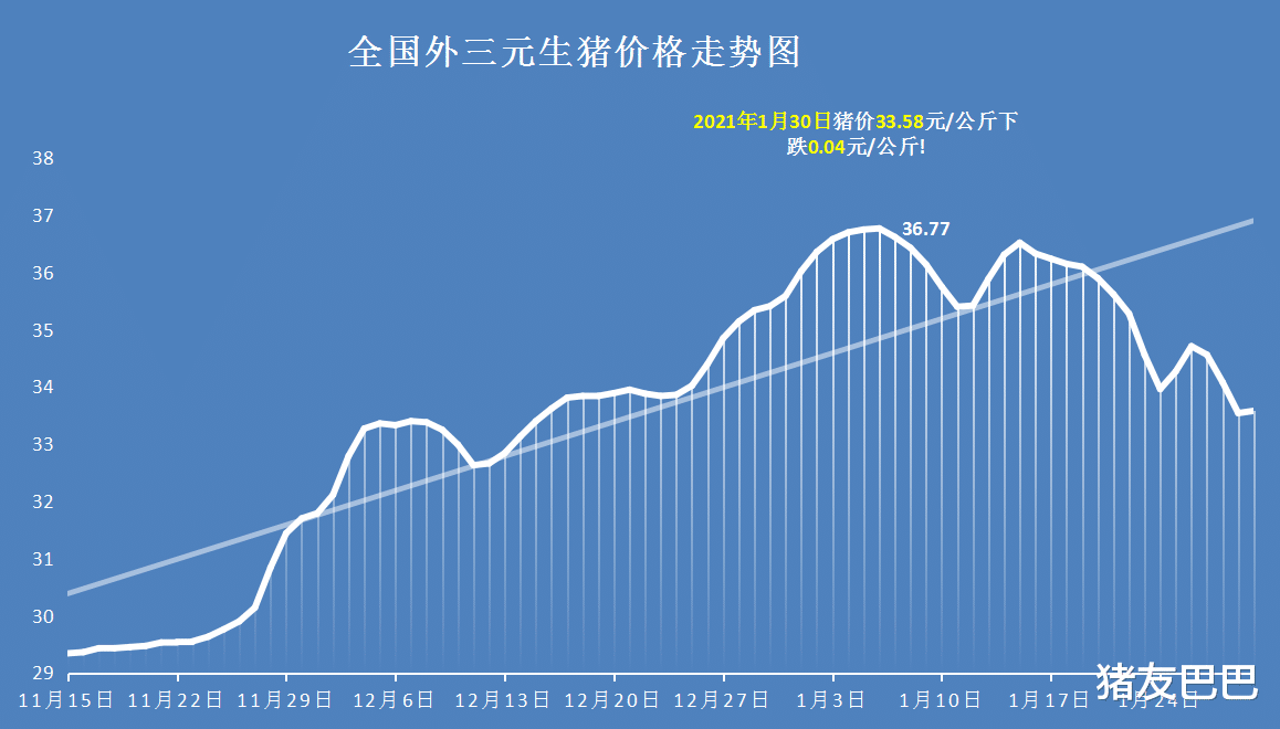 豬價、糧價預警：1月30日，今天最新生豬、玉米、雞蛋價格行情！-圖3