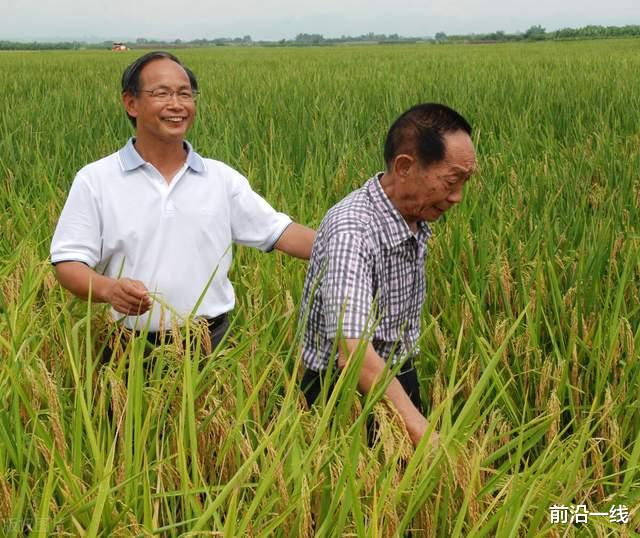 前沿一线 悼念袁隆平院士