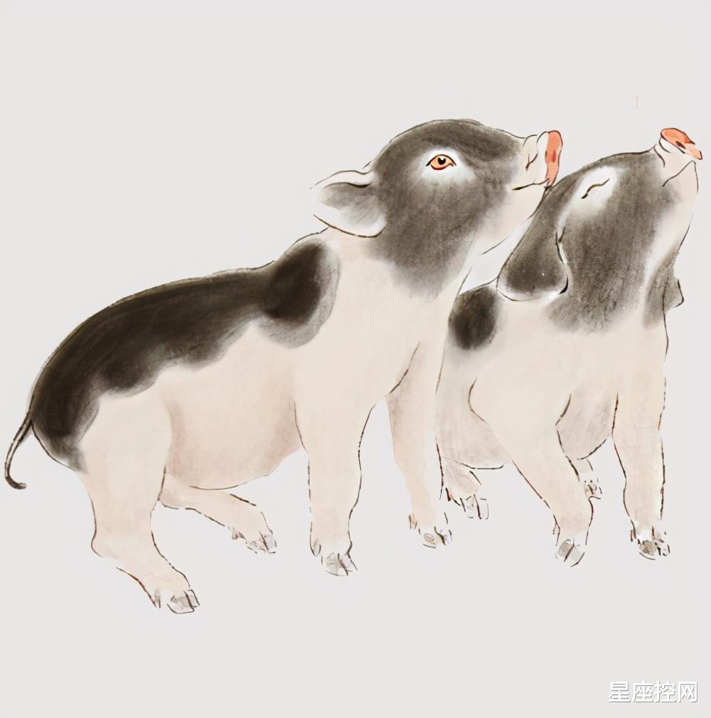 生肖|从小就有龙凤之才的生肖，今年出息更大，有钱花更有升职空间