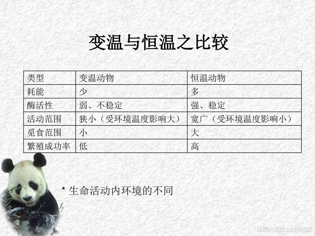 世界上最大蛇有多大?5800万年前高温孕育的大蛇,形成原因恐再现