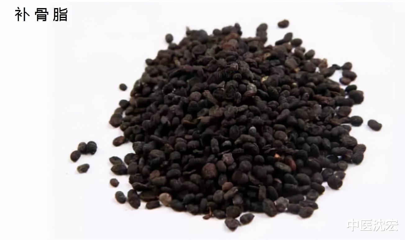 腹泻|一到清晨就拉肚子，阳虚！一张名方6味中药，健脾温肾、告别腹泻