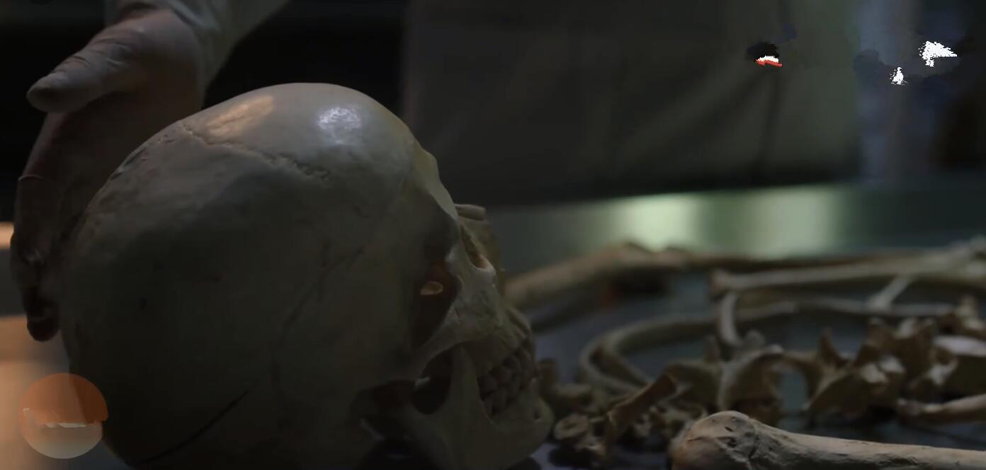 沈海洋|《凶手》14集，沈海洋确定已死，时隔17年再犯案，凶手是胡山泉？