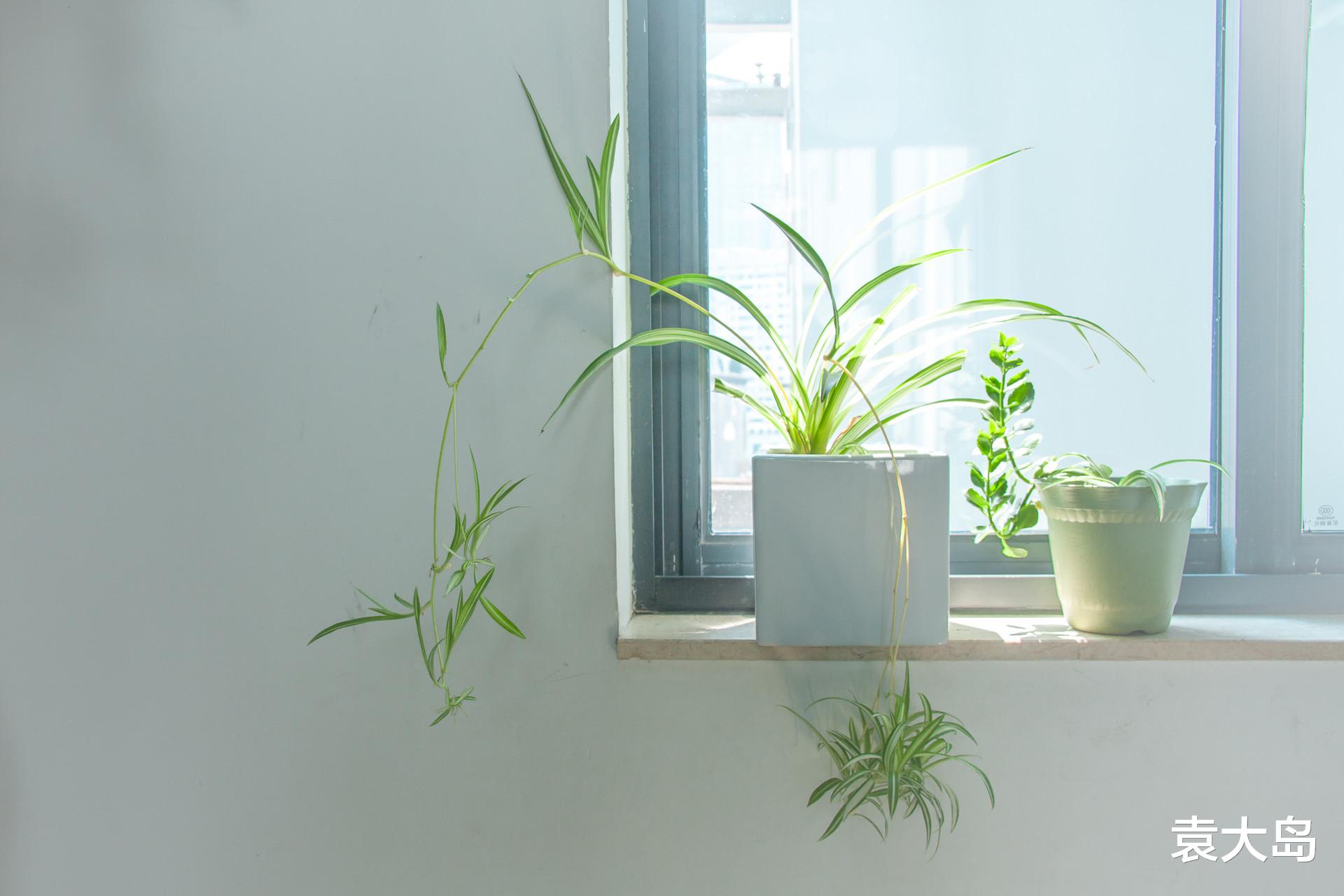 袁大岛 不是所有的失去，都是坏事