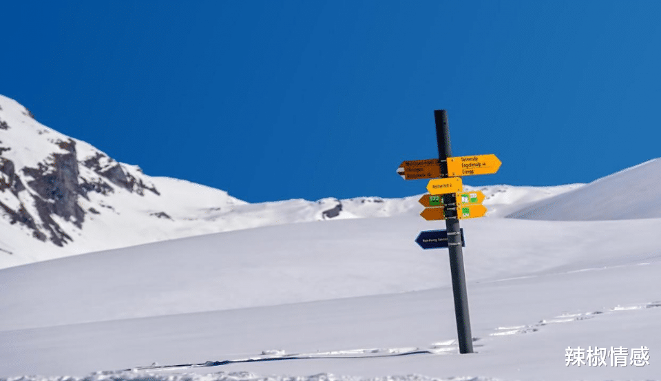 辣椒情感|孤独且高傲的星座：情商高却爱装傻，有能力也不屑与人争抢