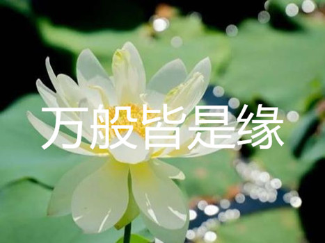 天音心理|新时代，心健康，阅读和分享《山湖纪人之心灵早餐》，让爱和阳光滋润每一颗心灵【总第2359期】