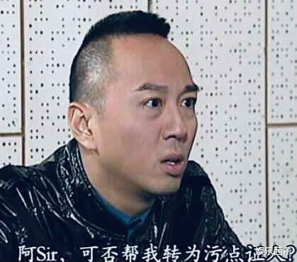 佘诗曼|佘诗曼“祸害”了49岁老男人？TVB“傻仔”只认先孕后婚，曾妄想成为刘德华？