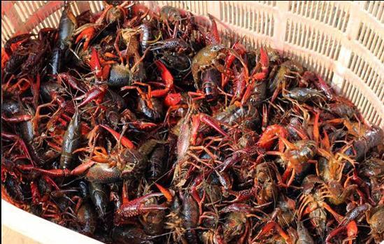 小龙虾|这4种肉含寄生虫最多，没营养价格还贵，很多人却偏偏爱吃