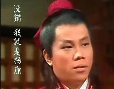 杨康|8版杨康颜值比对,谁对得住穆念慈一见误终生,谁是搞笑+凑数?