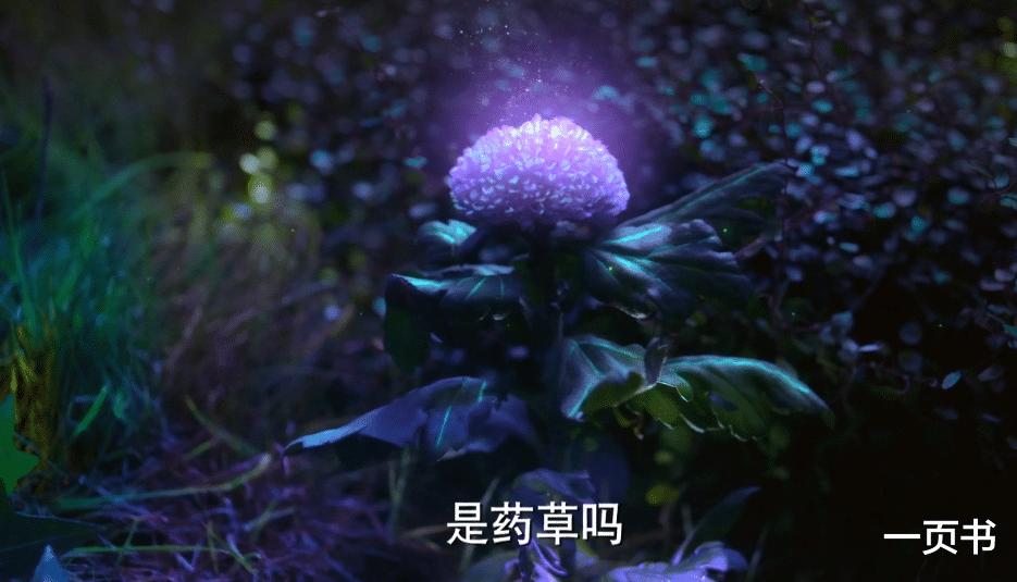 唐昊|斗罗大陆电视剧唐三不识仙品药草,史莱克六怪却很懂?唐昊成千寻疾小弟