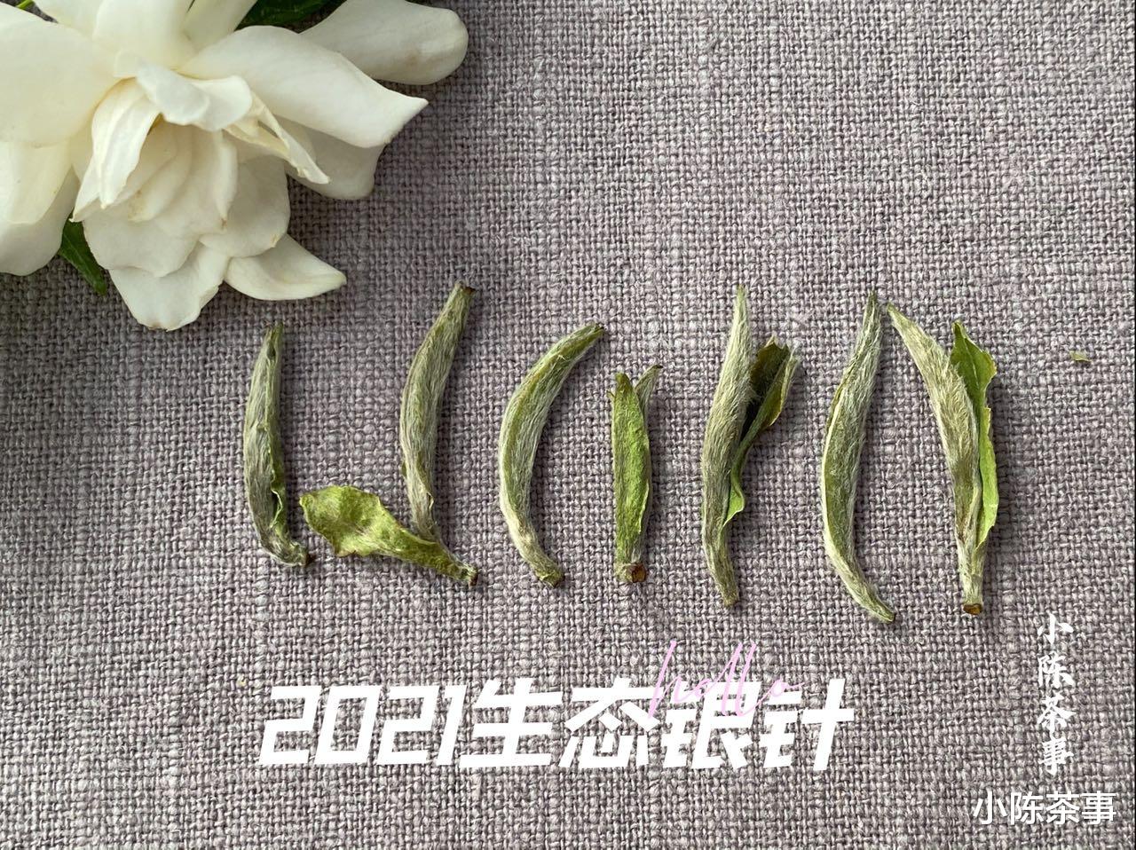 茶具|从白茶分类到茶具选择、冲泡方法,最全的白茶基础知识,快收藏!