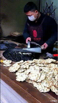 神回复 神回复：如果世界上所有的生物都开始反抗人类！人类可以支撑多久？