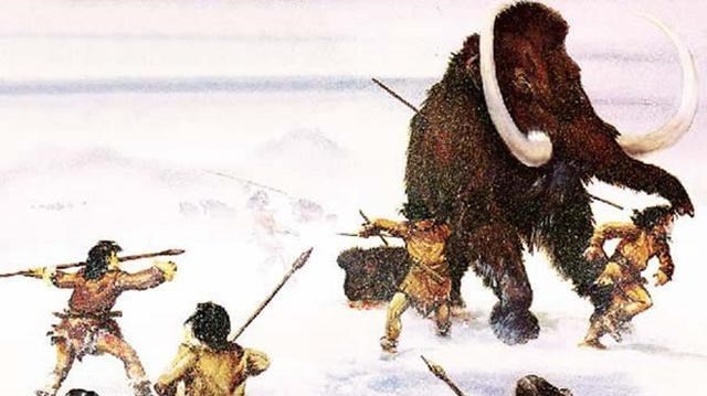 猩猩 人类这么弱，连猩猩都打不过，人类祖先是怎么活下来的？