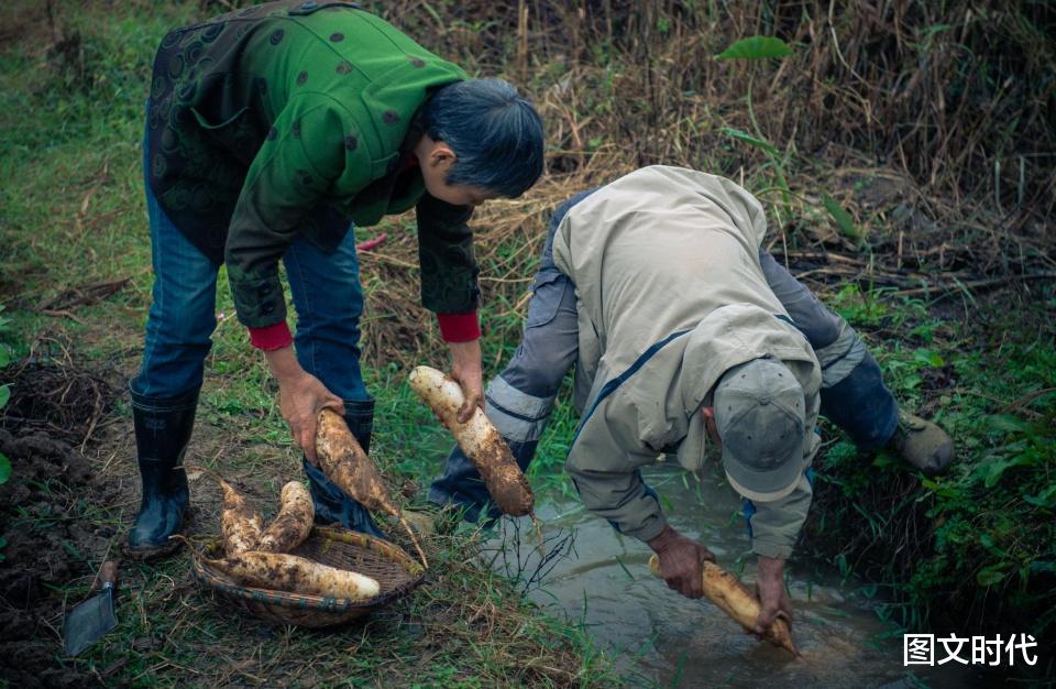 图文时代 幼童遭黑车碾压失去右腿,7旬奶奶学护理,想保住打8枚钢钉的左腿
