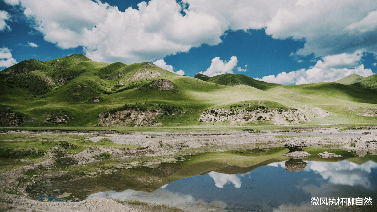 微风执杯聊自然|狼群围村，狗群沸腾，哑巴黑犬用一声狼嚎止住了大战，却要被吊死