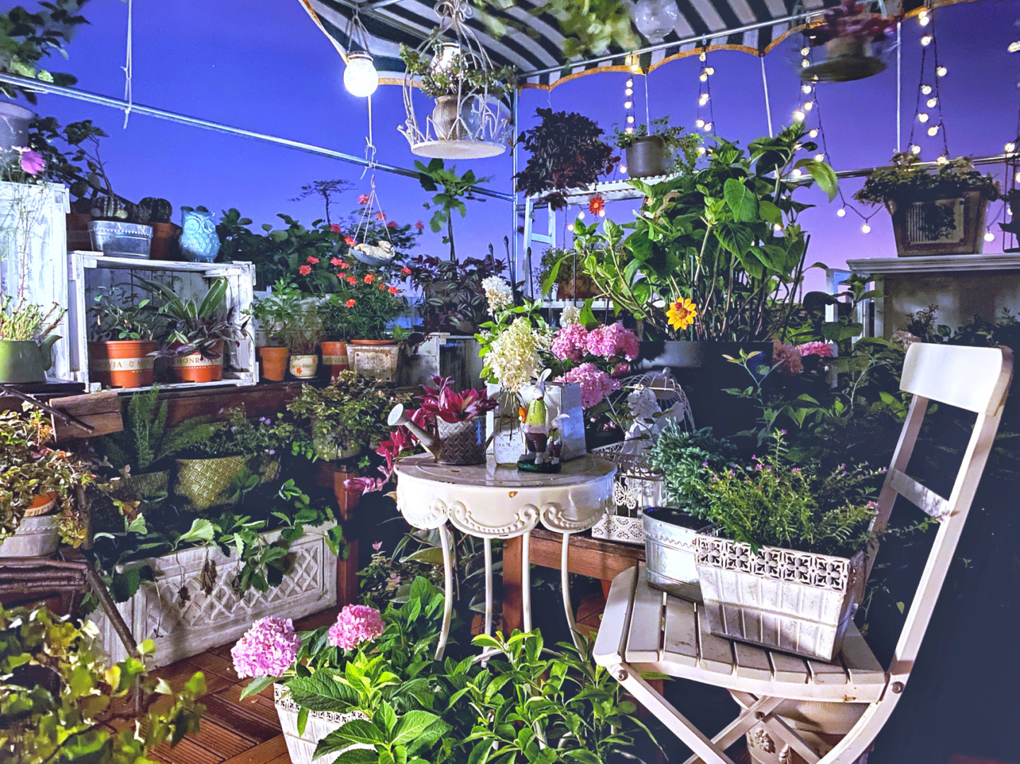 屋顶打造“空中花园”攻略:废弃屋顶这样装,让你白得一个花园