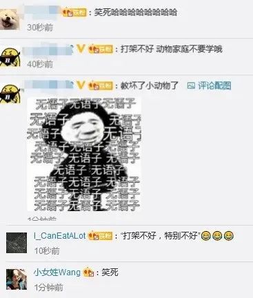树艺蛙APP|北京一动物园两家人互殴，全家上阵抱着孩子参与“战斗”