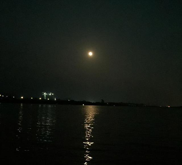 广东省|广东钓友东江夜钓，有船只高速冲上岸，撞在其钓位几米远处