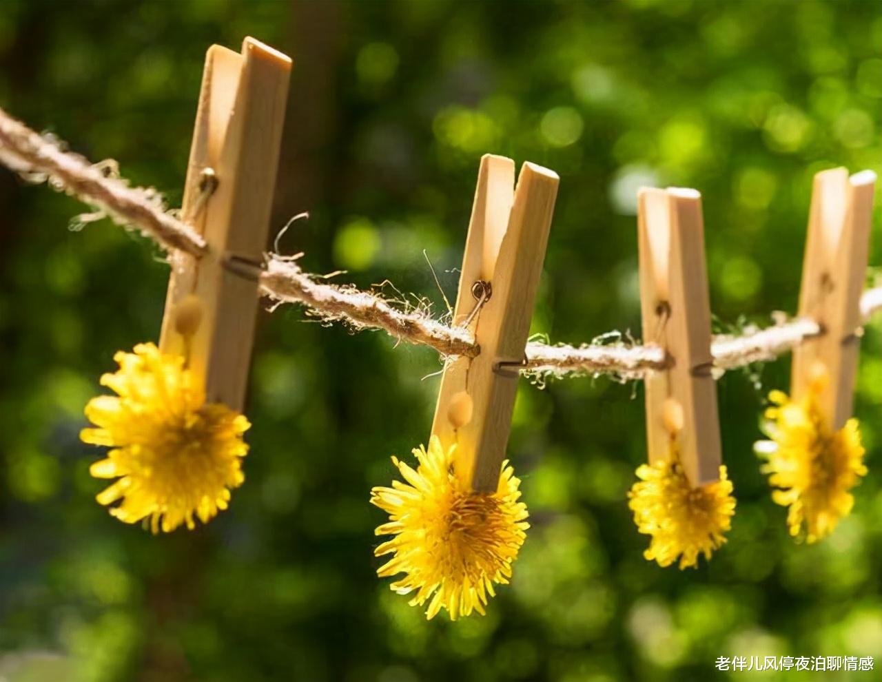 老伴儿风停夜泊聊情感 经历背叛之后:最错误的做法,莫过于此