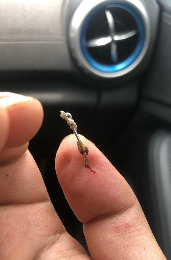 长江|男子钓鱼“钓到自己”被困深山，男子：没有信号，手疼得没法开车