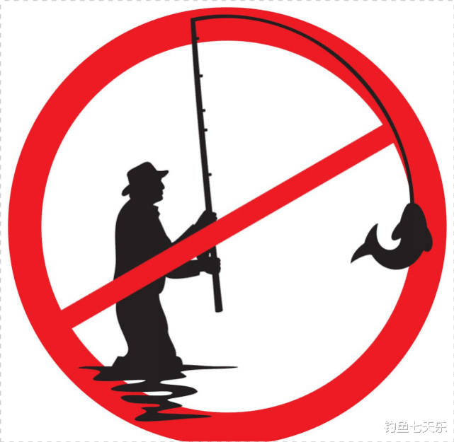 |长江边违规垂钓，江苏这名钓友麻烦大了！12斤鱼成“偷钓”证据