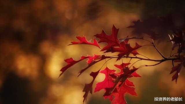 网购 投资老船长：10.17金秋十月，收获的季节—本周的交易记录与心得