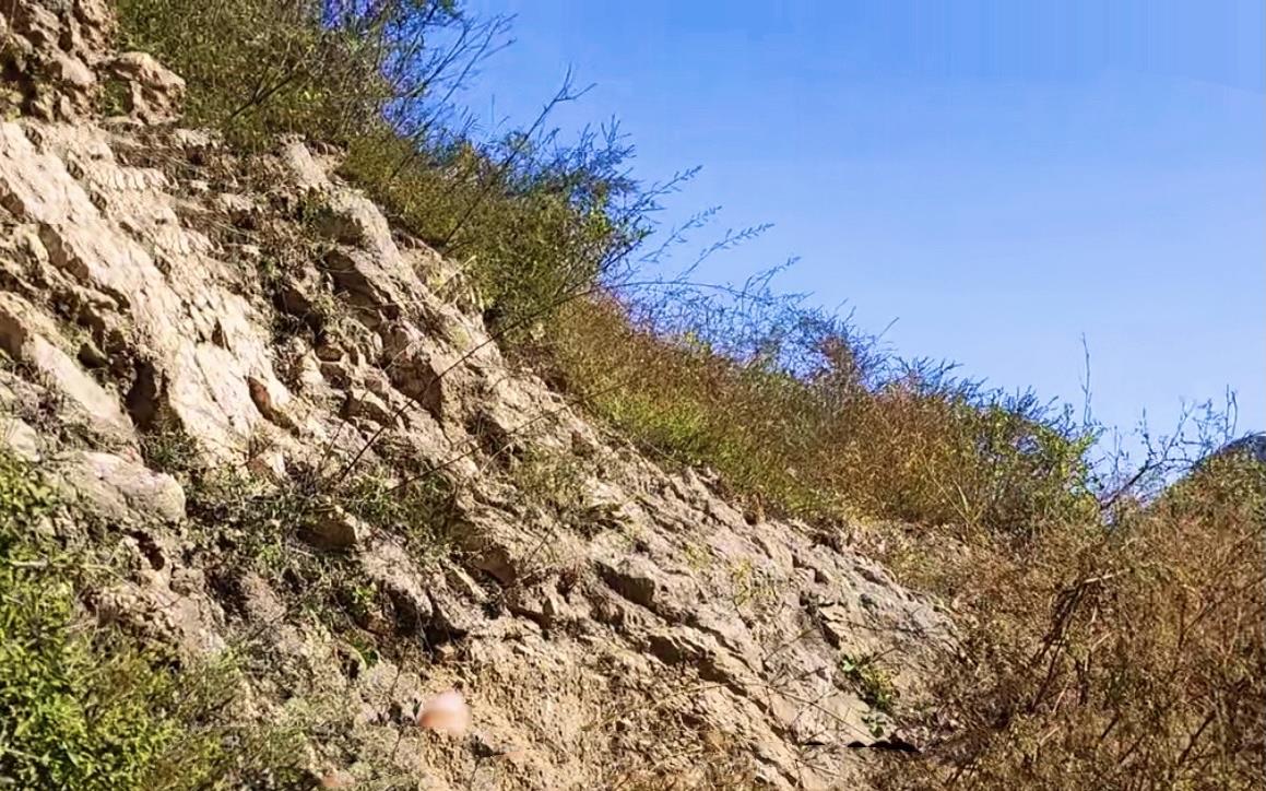 浦东新区 20岁尼姑在台外的大山洞里苦修，一住就是50年